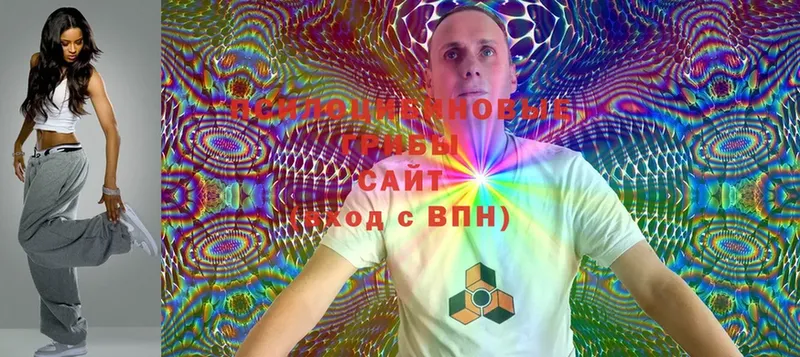 Псилоцибиновые грибы Cubensis  гидра ссылка  Владикавказ 